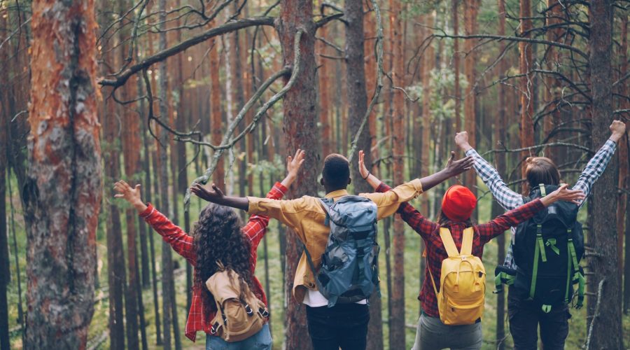Four friends raising arms in joy during a forest hike, celebrating nature. — Adventure Travel in Guatemala