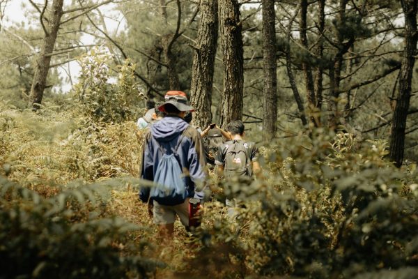 Nelson Adventure Travel