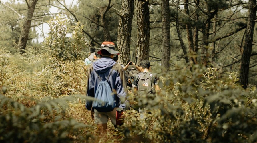 A group of hikers exploring a dense forest, enjoying an outdoor adventure surrounded by nature's beauty. — Nelson Adventure T